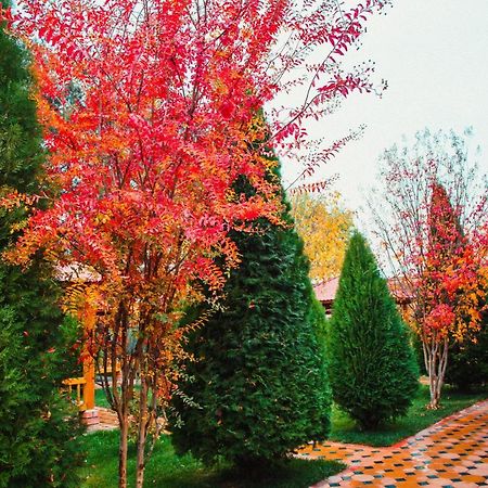 Hotel Grace Garden Kum Exterior photo