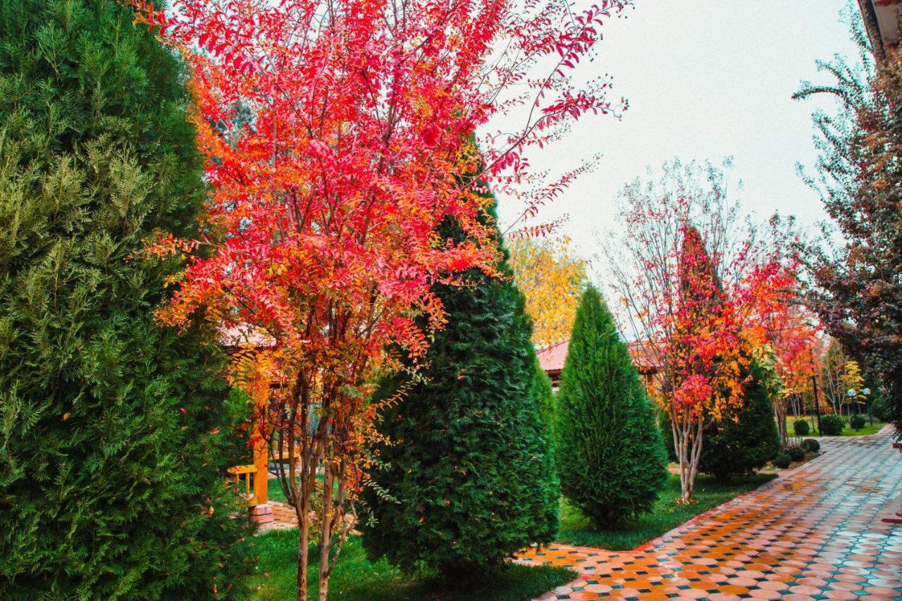 Hotel Grace Garden Kum Exterior photo